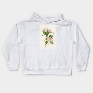 Apple Blossoms and bees - Botanical Illustration Kids Hoodie